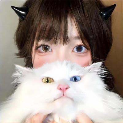 樟帮